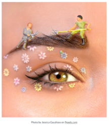 close up feminine eye