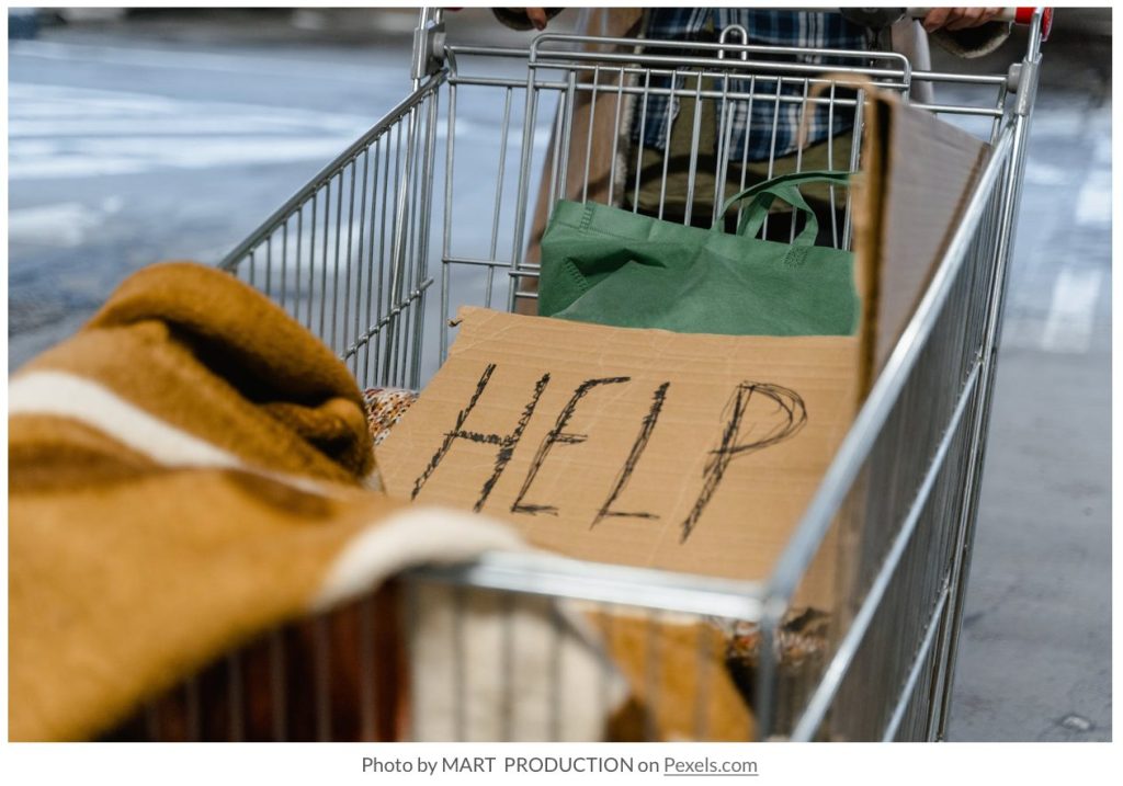 shopping cart with sign reading help
