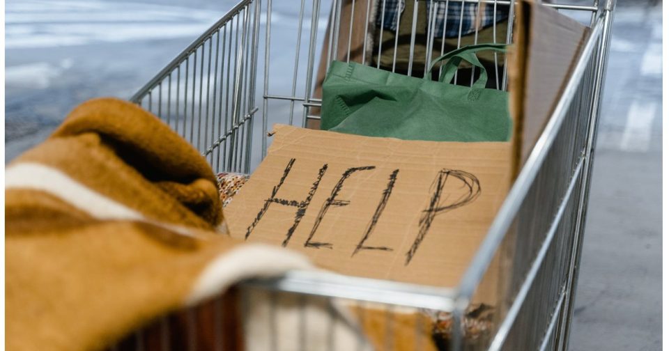 shopping cart with sign reading help